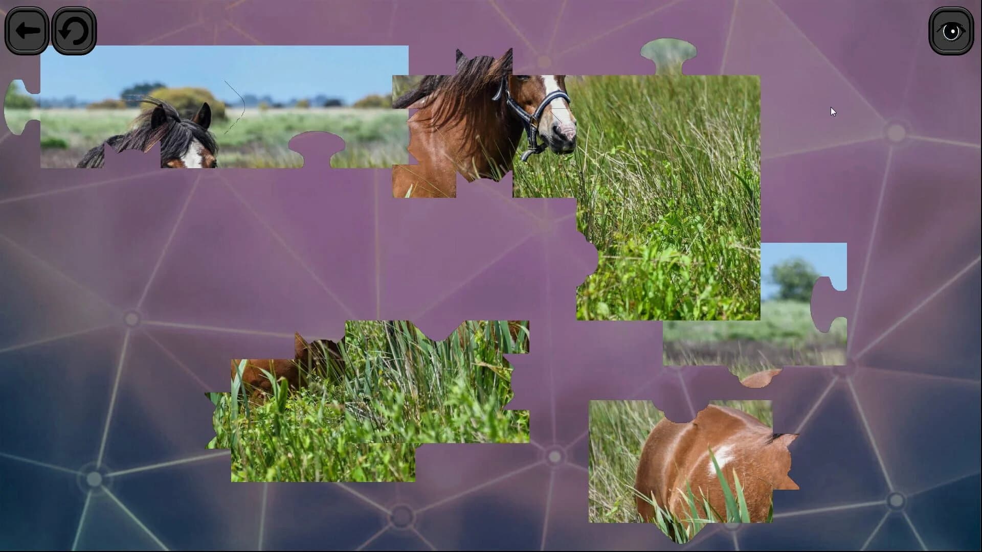 Puzzles for smart: Horses screenshot 4