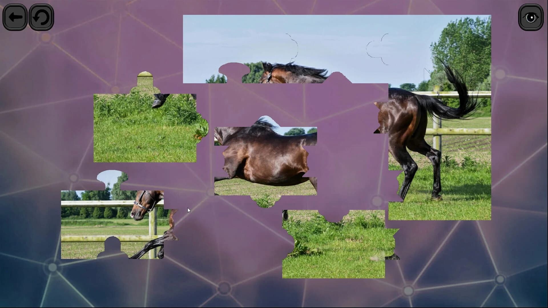 Puzzles for smart: Horses screenshot 2