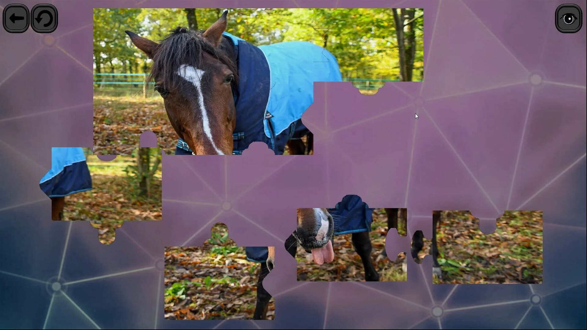 Puzzles for smart: Horses screenshot 3