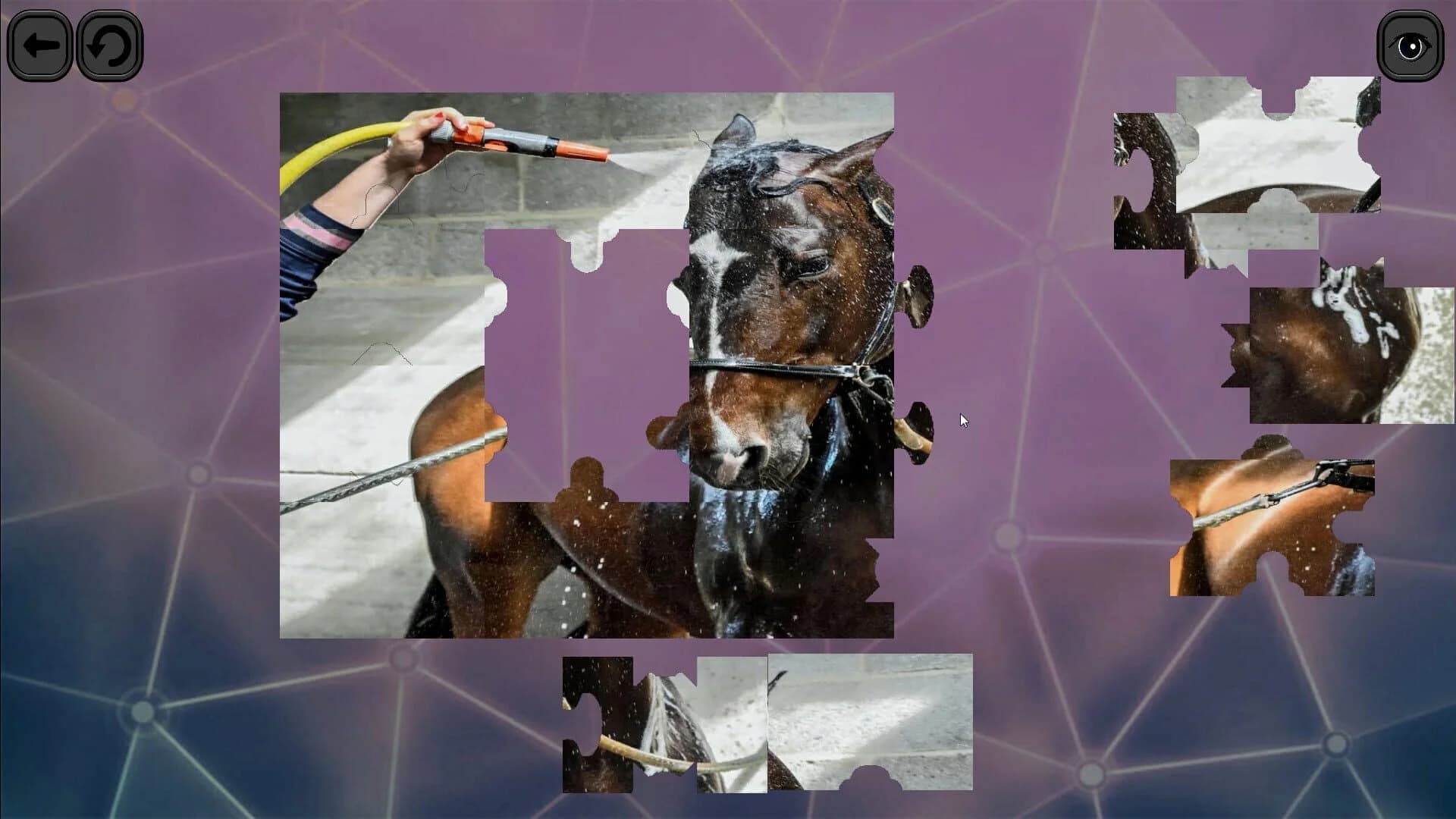 Puzzles for smart: Horses screenshot 5
