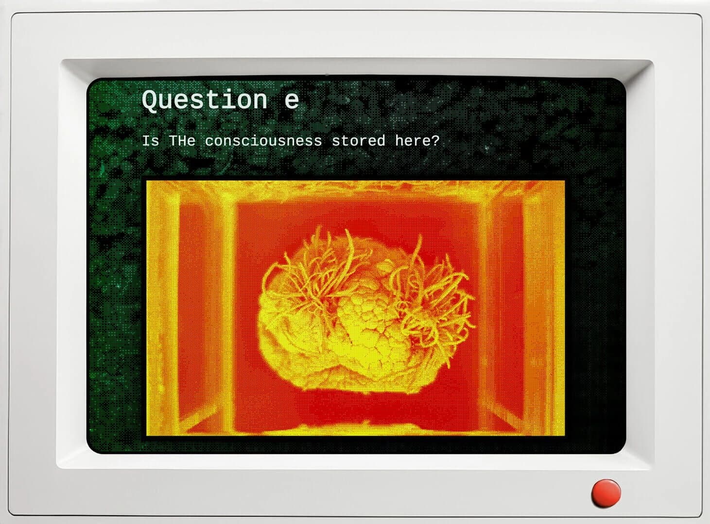 Qualia screenshot 4