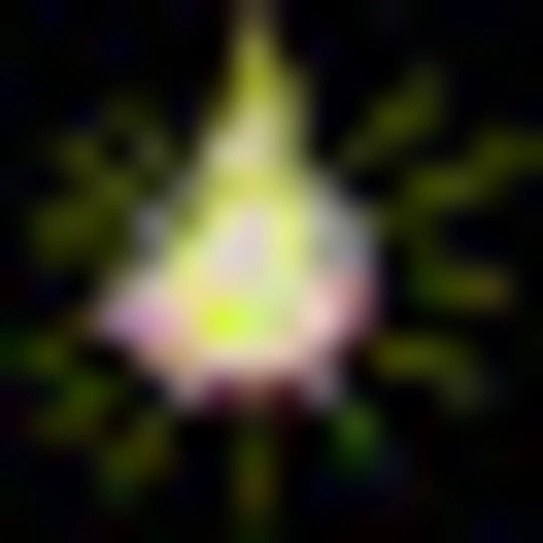 Quintaesencia screenshot 2