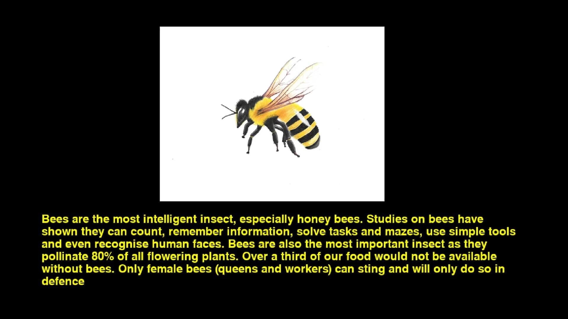 Quiz & Learn: Animals screenshot 1