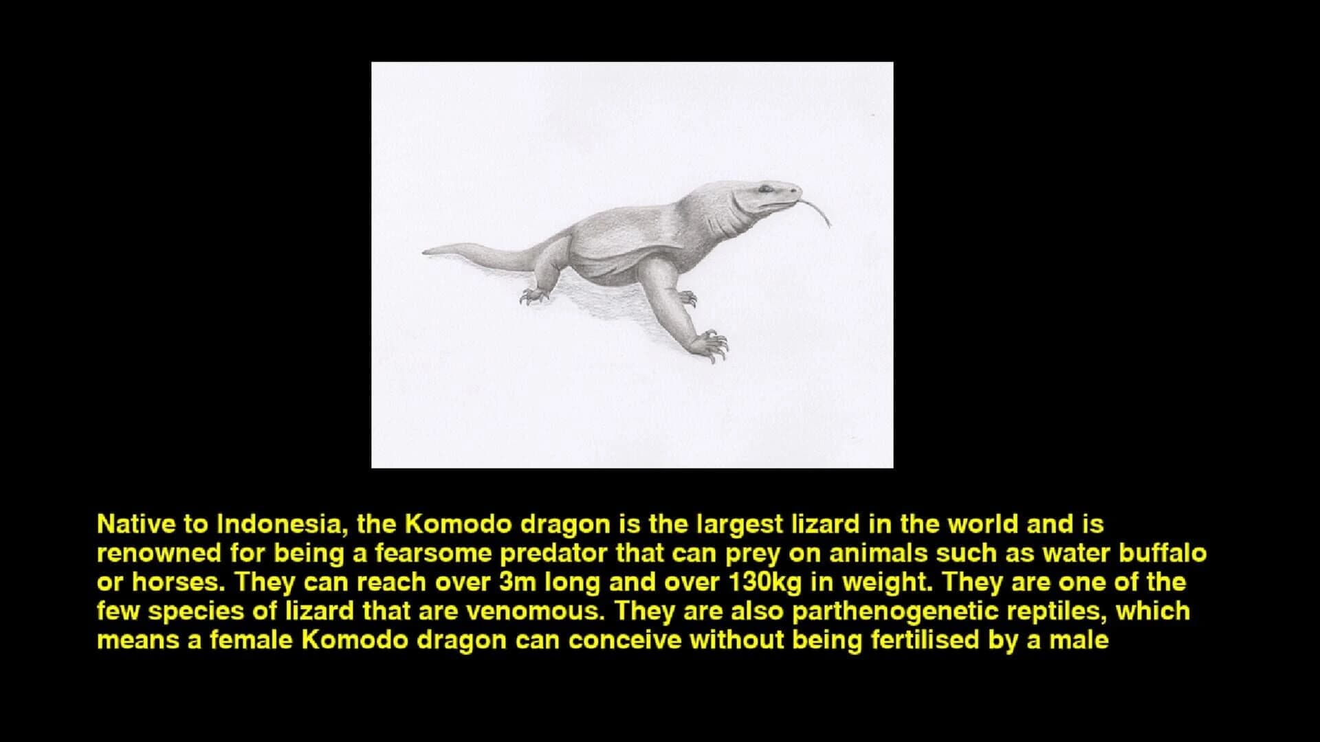 Quiz & Learn: Animals screenshot 3