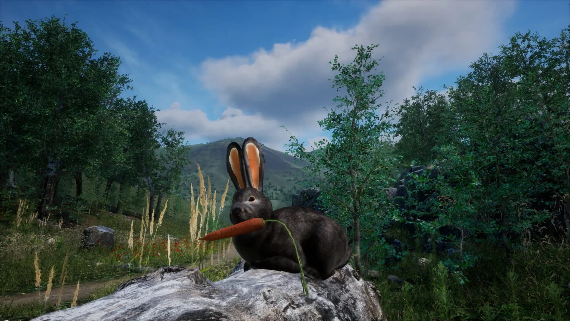 Rabbit Meadow screenshot 3