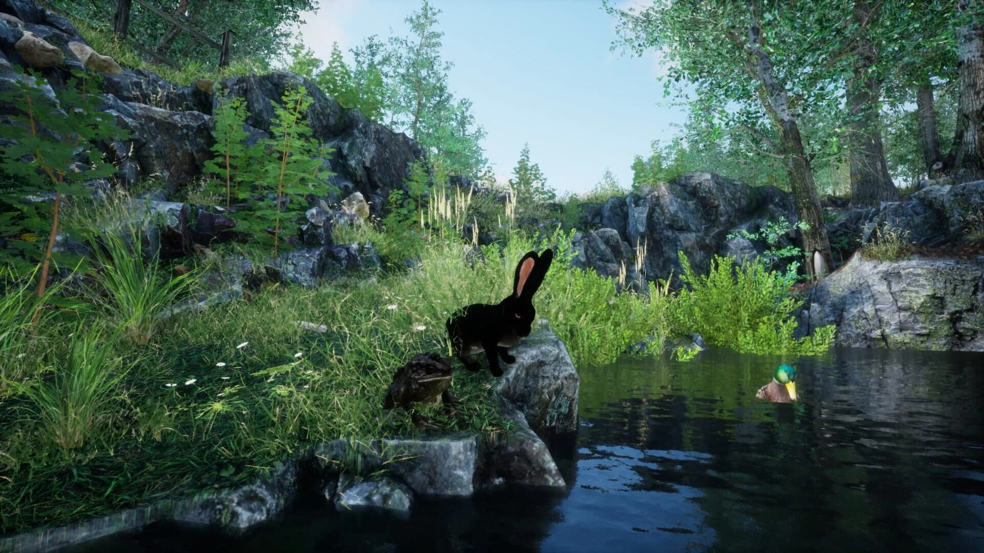 Rabbit Meadow screenshot 5