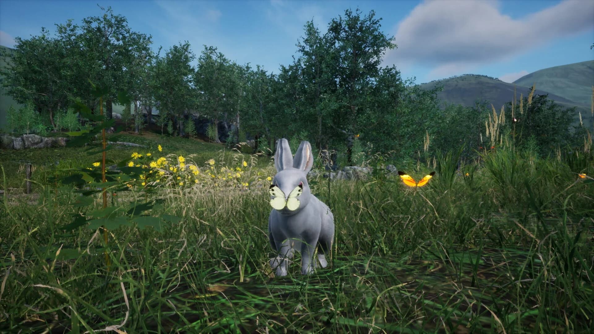 Rabbit Meadow screenshot 1