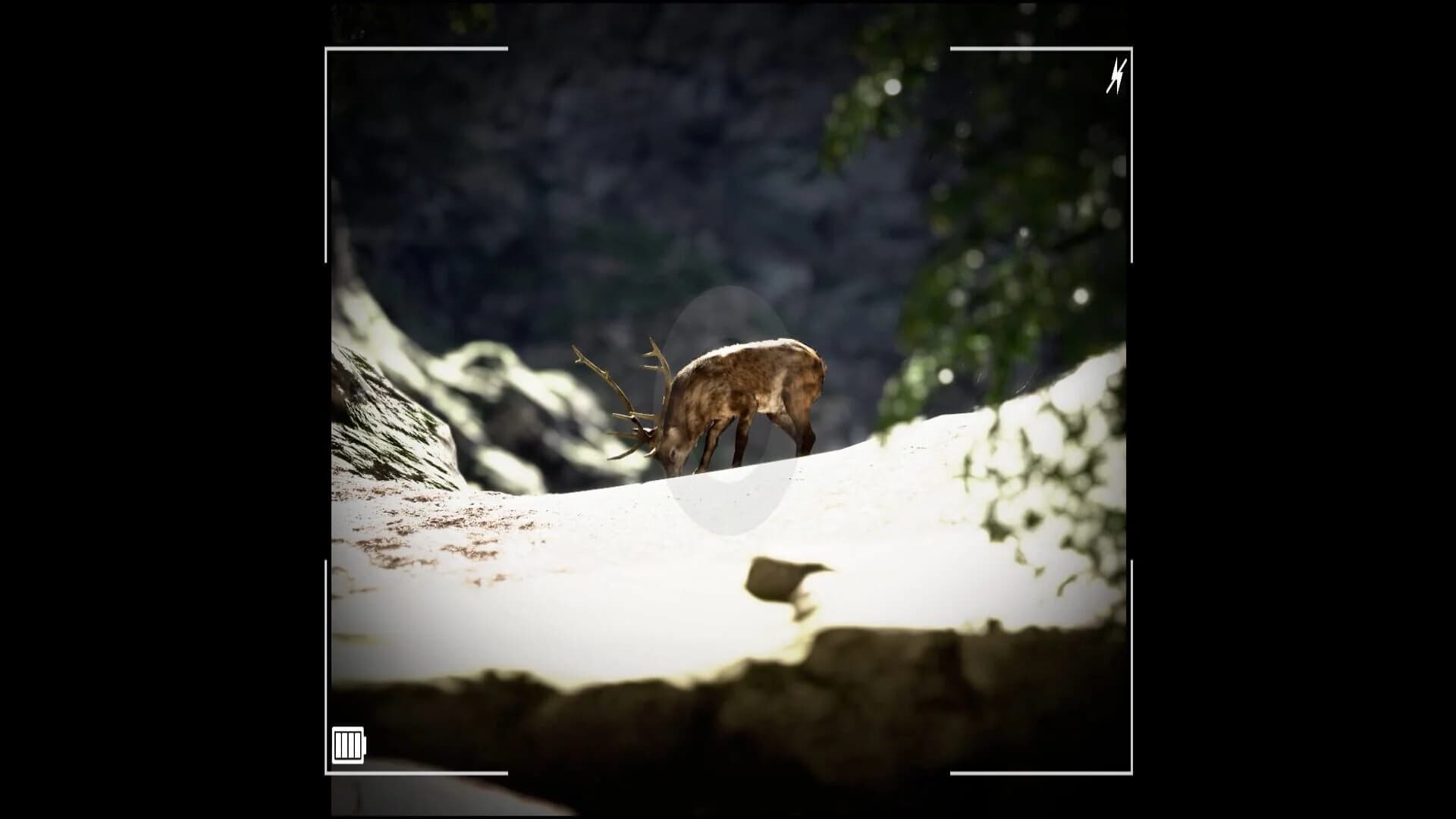 Raccoon on a Boat screenshot 2