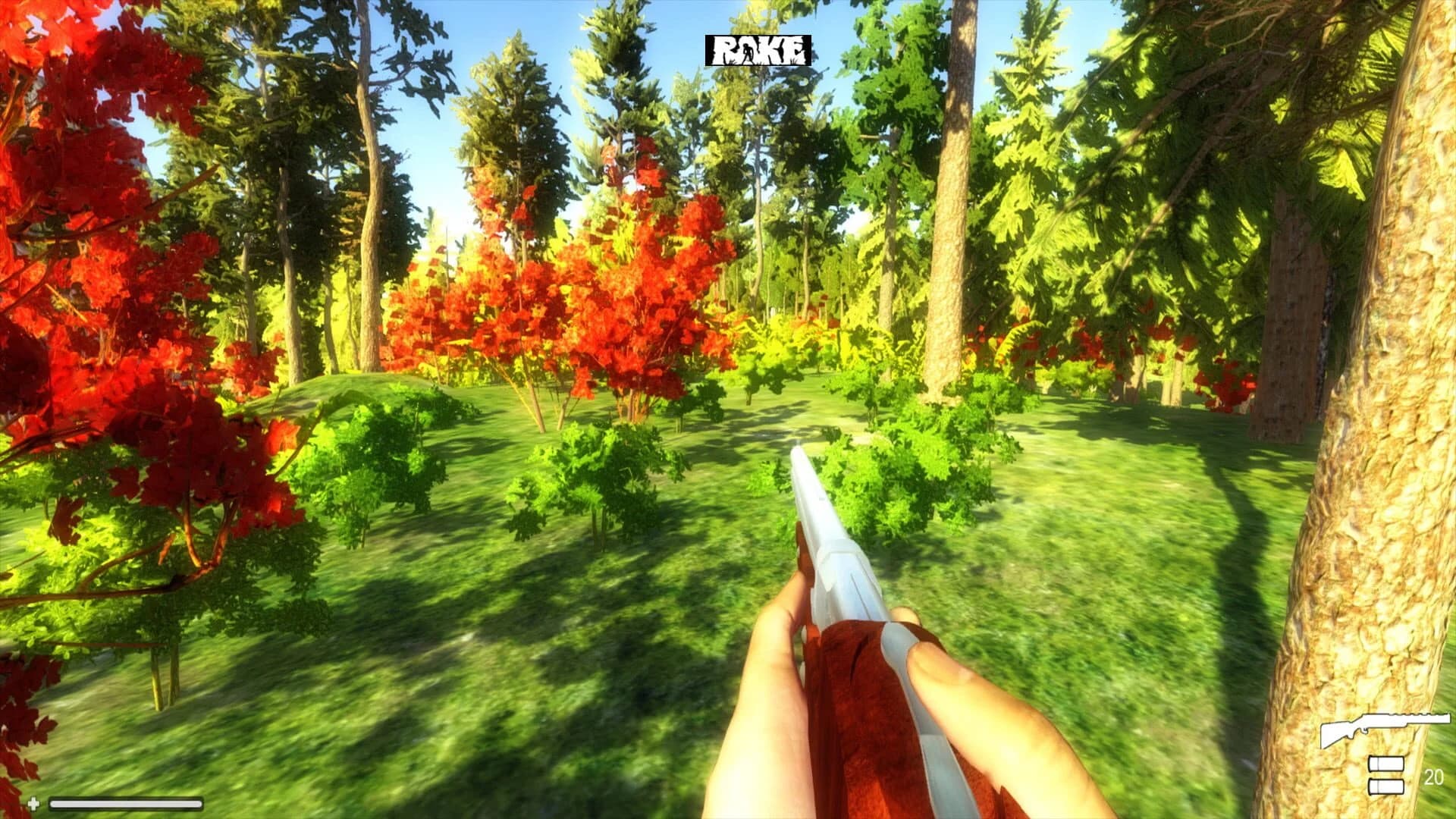 Rake screenshot 2