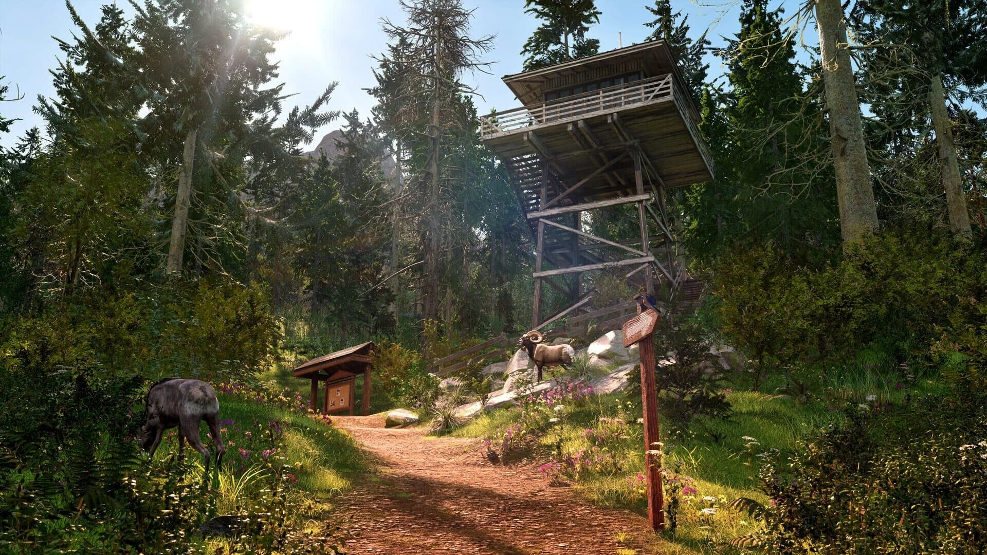 Ranger’s Path: National Park Simulator screenshot 2