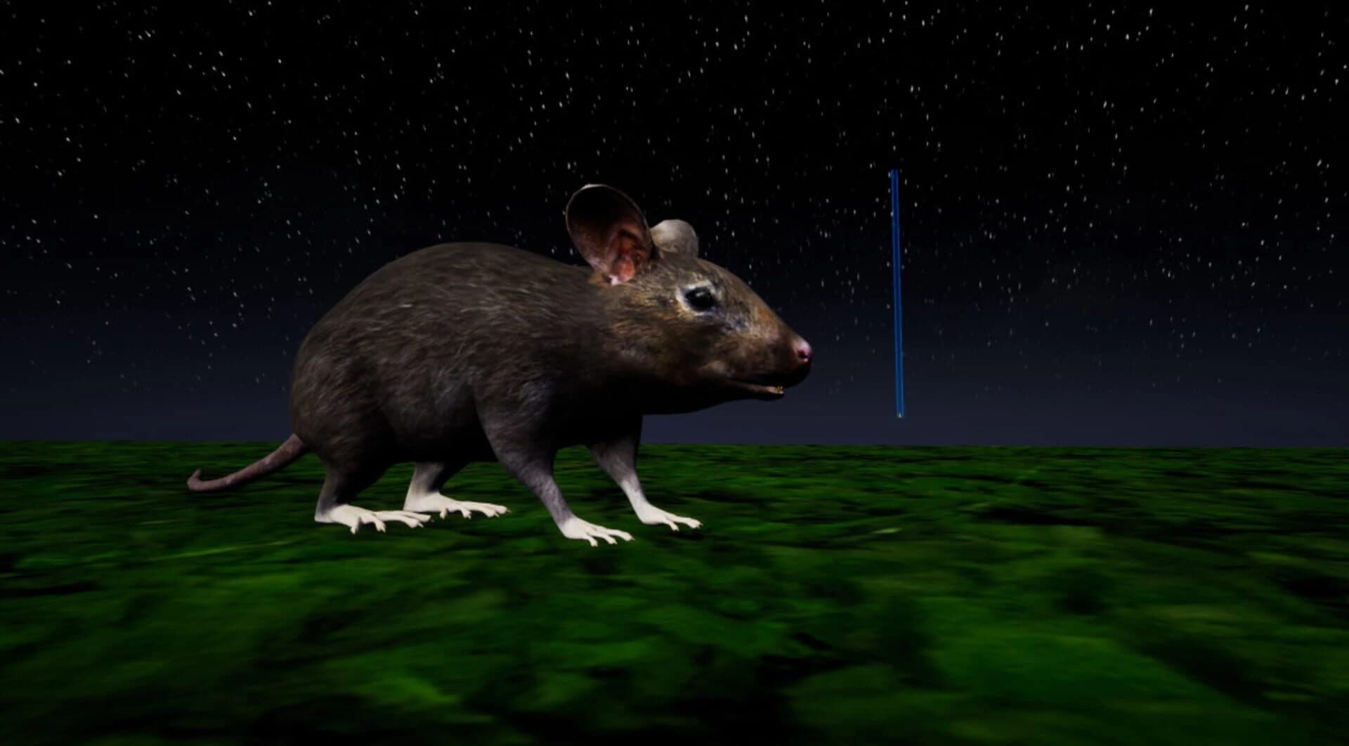 Rat Memory screenshot 2