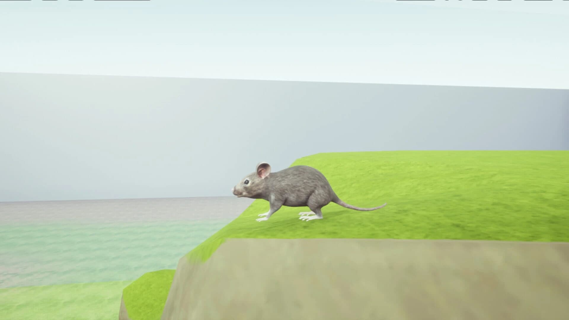 Rat Memory screenshot 1