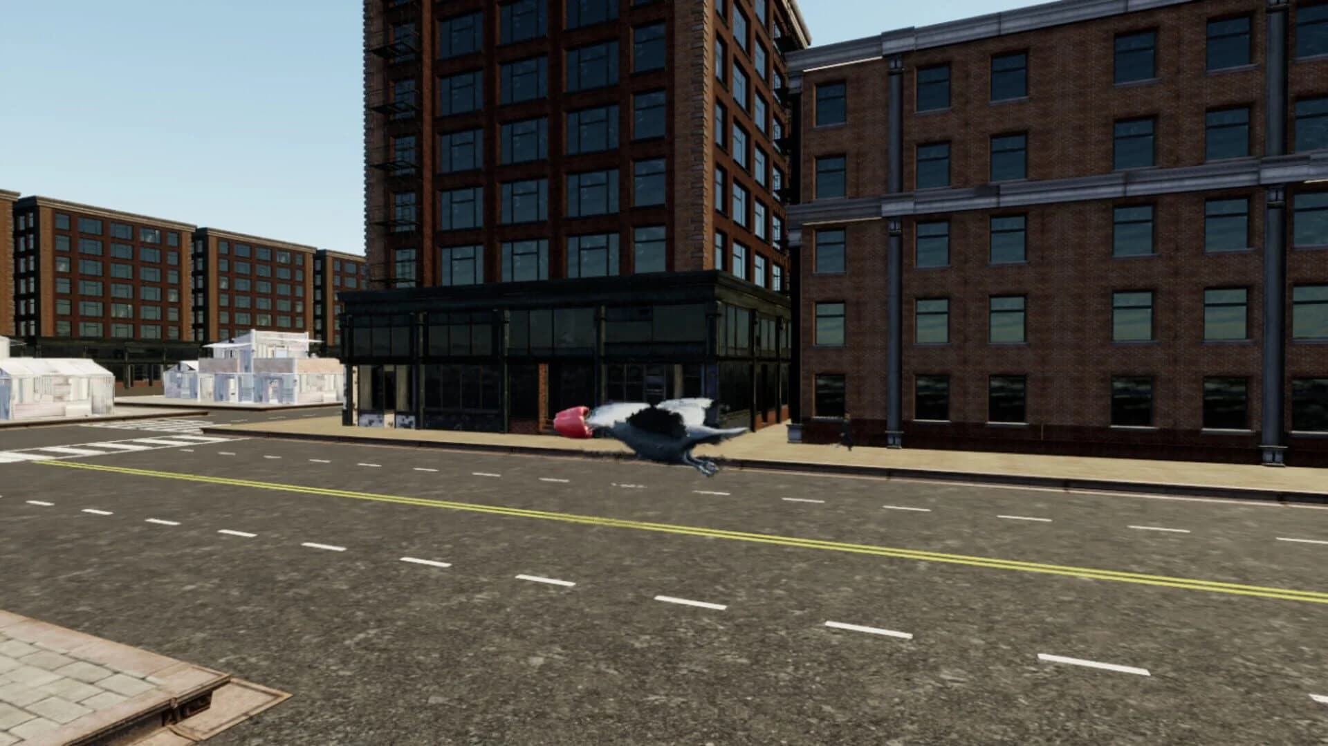 Raven Simulator screenshot 5