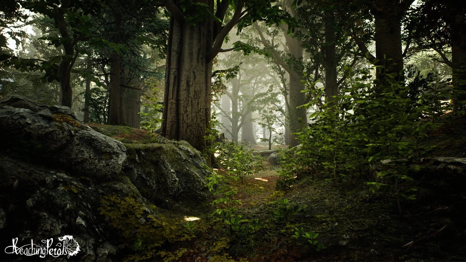 Reaching for Petals: VR Edition screenshot 3