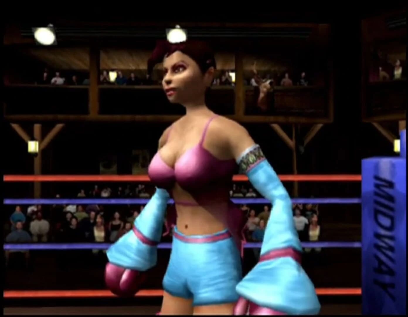 Ready 2 Rumble Boxing: Round 2 screenshot 2