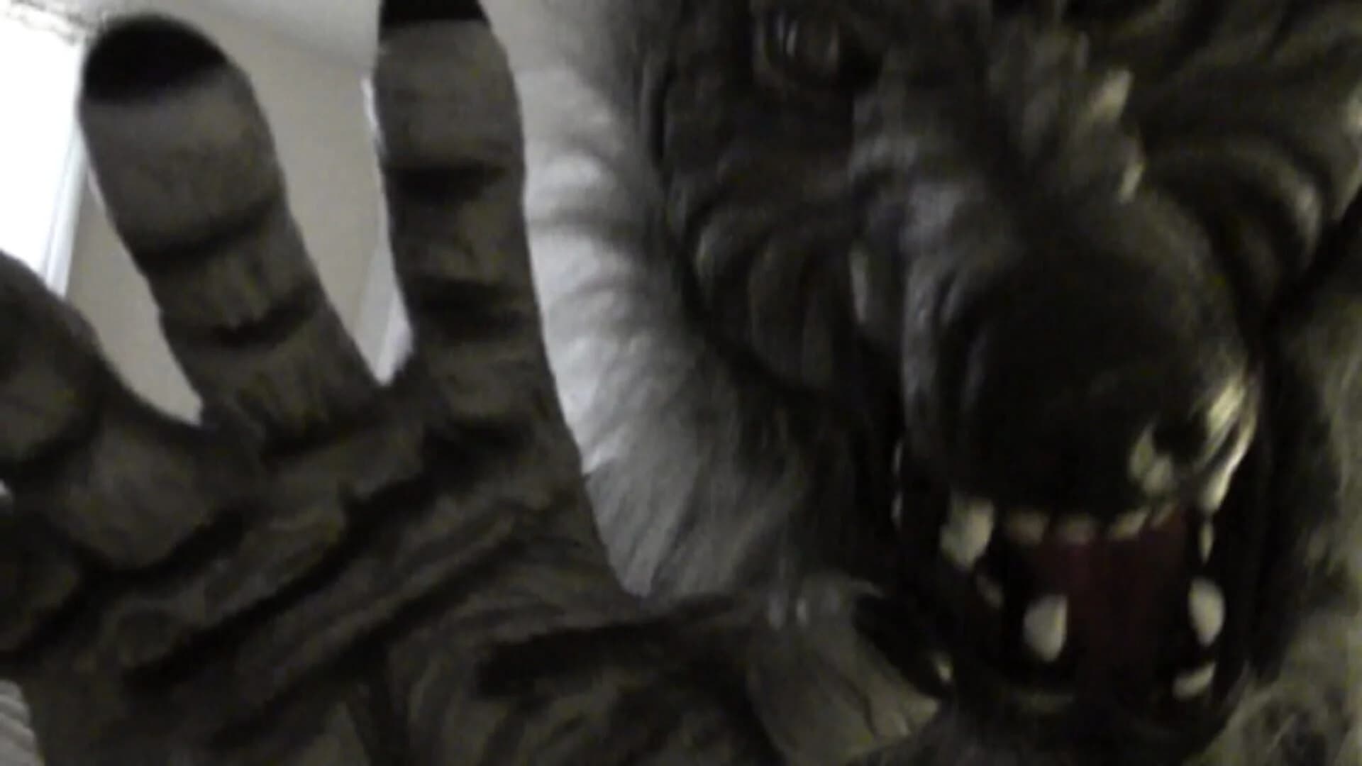 Real Scary screenshot 1