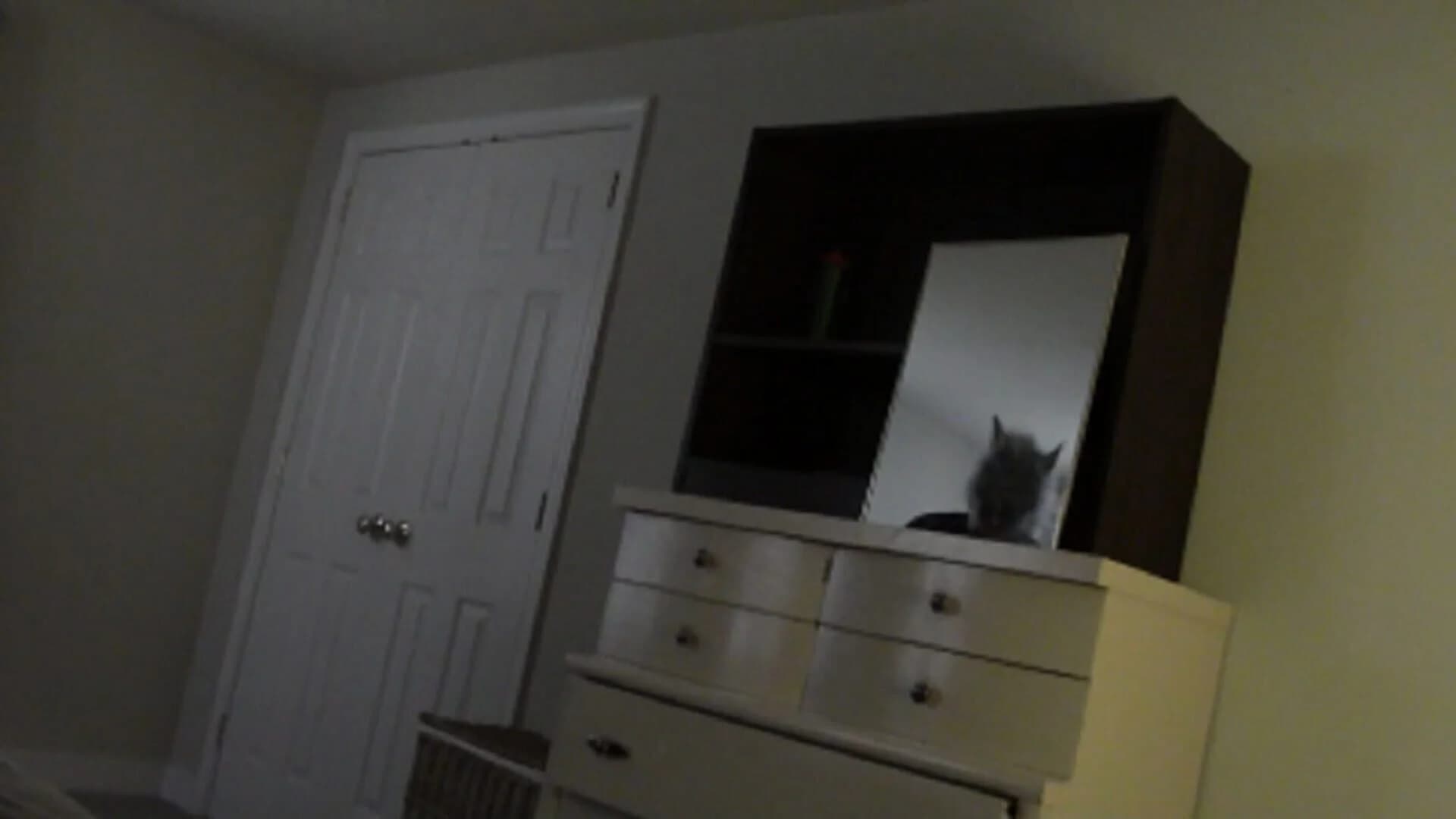 Real Scary screenshot 3