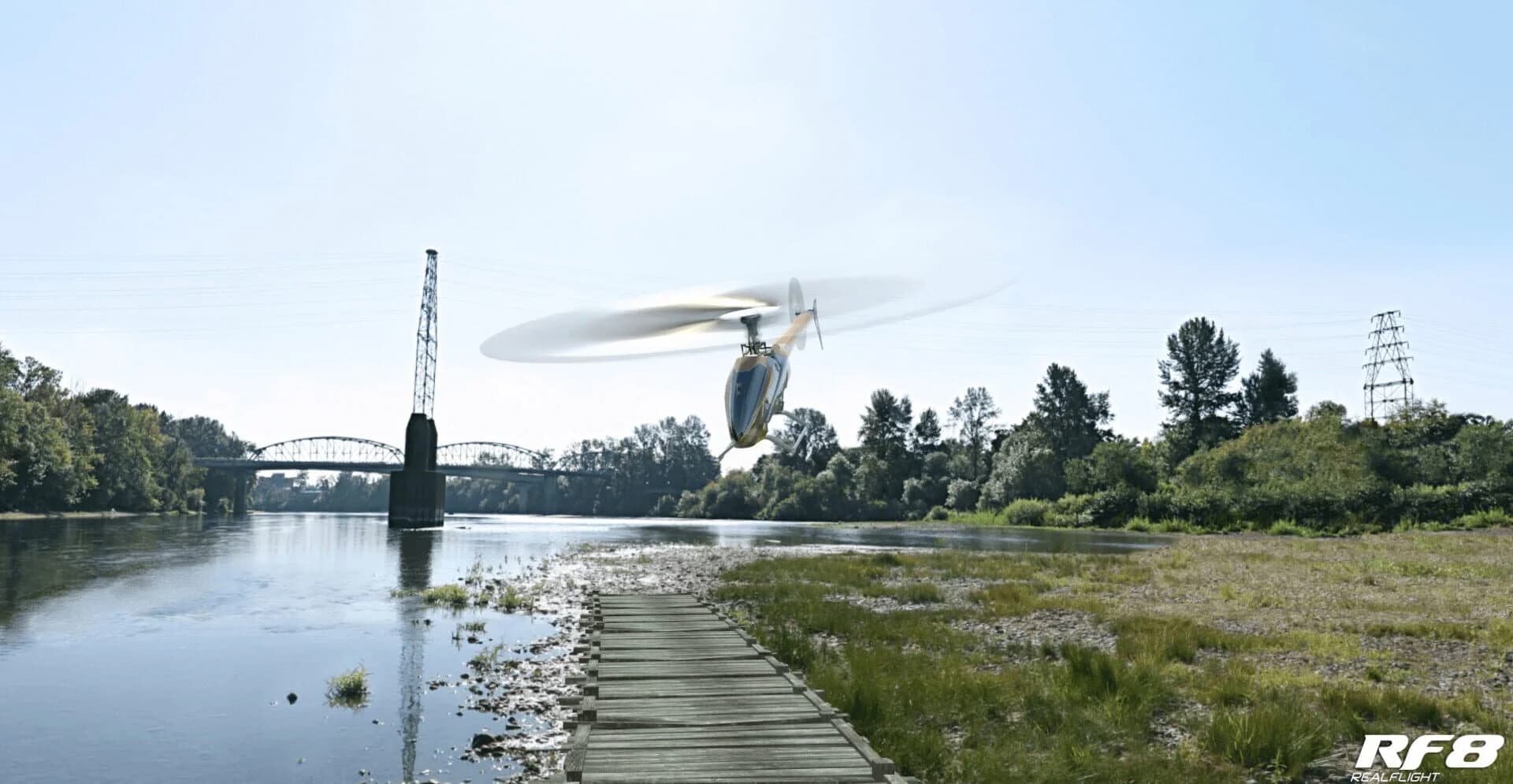 RealFlight 8 screenshot 4