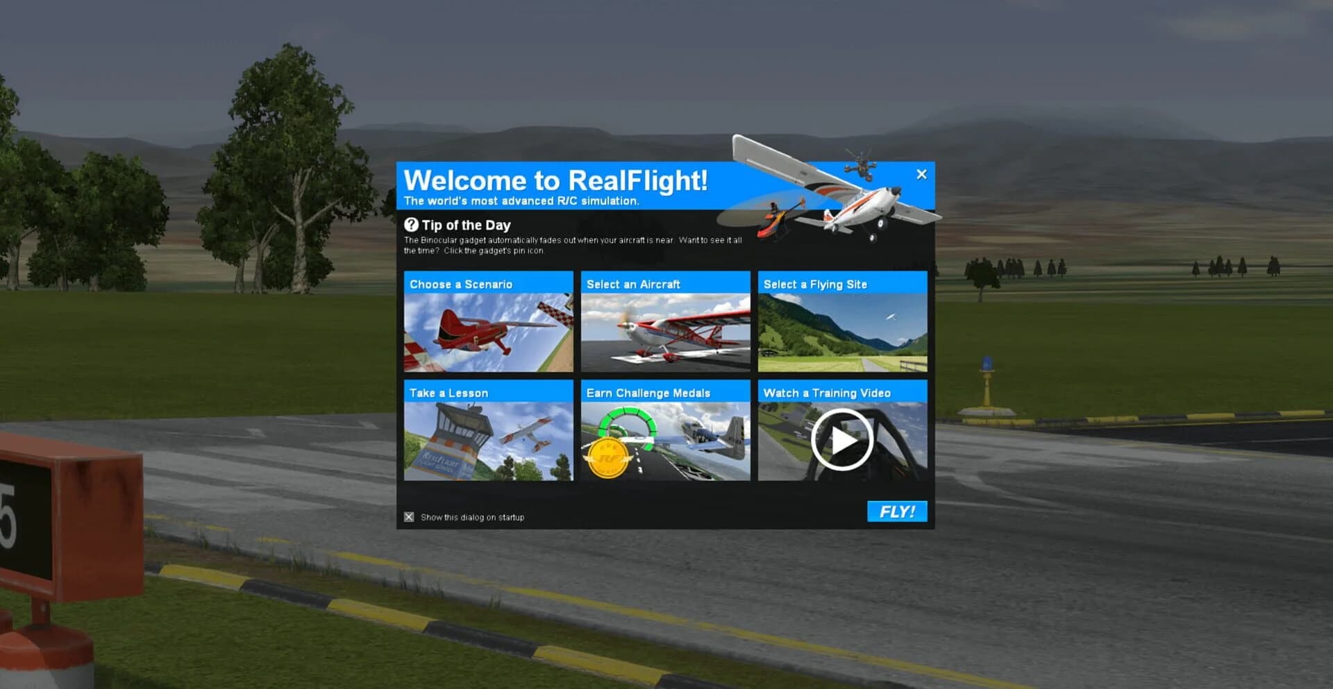 RealFlight 9 screenshot 2