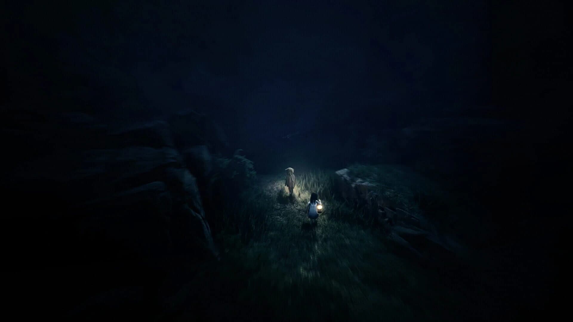 Reanimal: Deluxe Edition screenshot 5