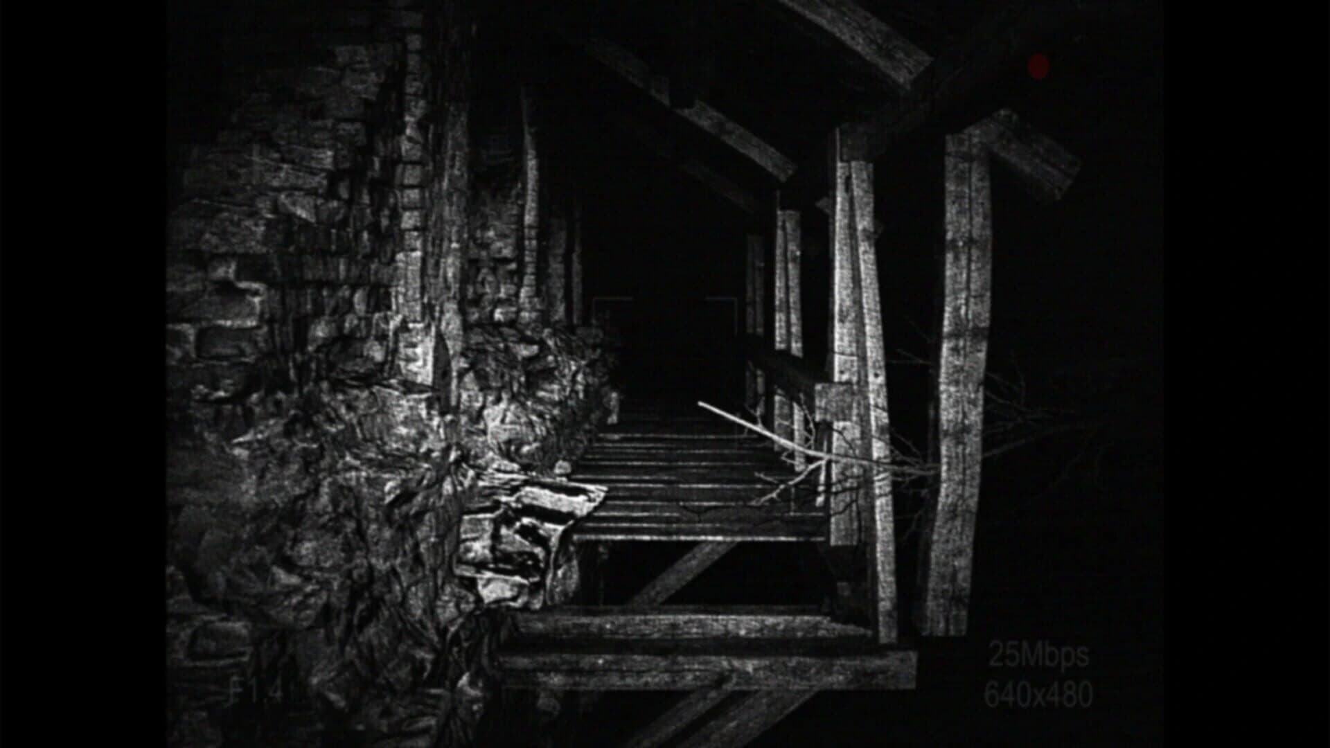 [REC] Desolation screenshot 5