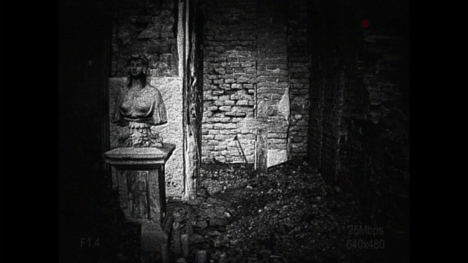 [REC] Desolation screenshot 4