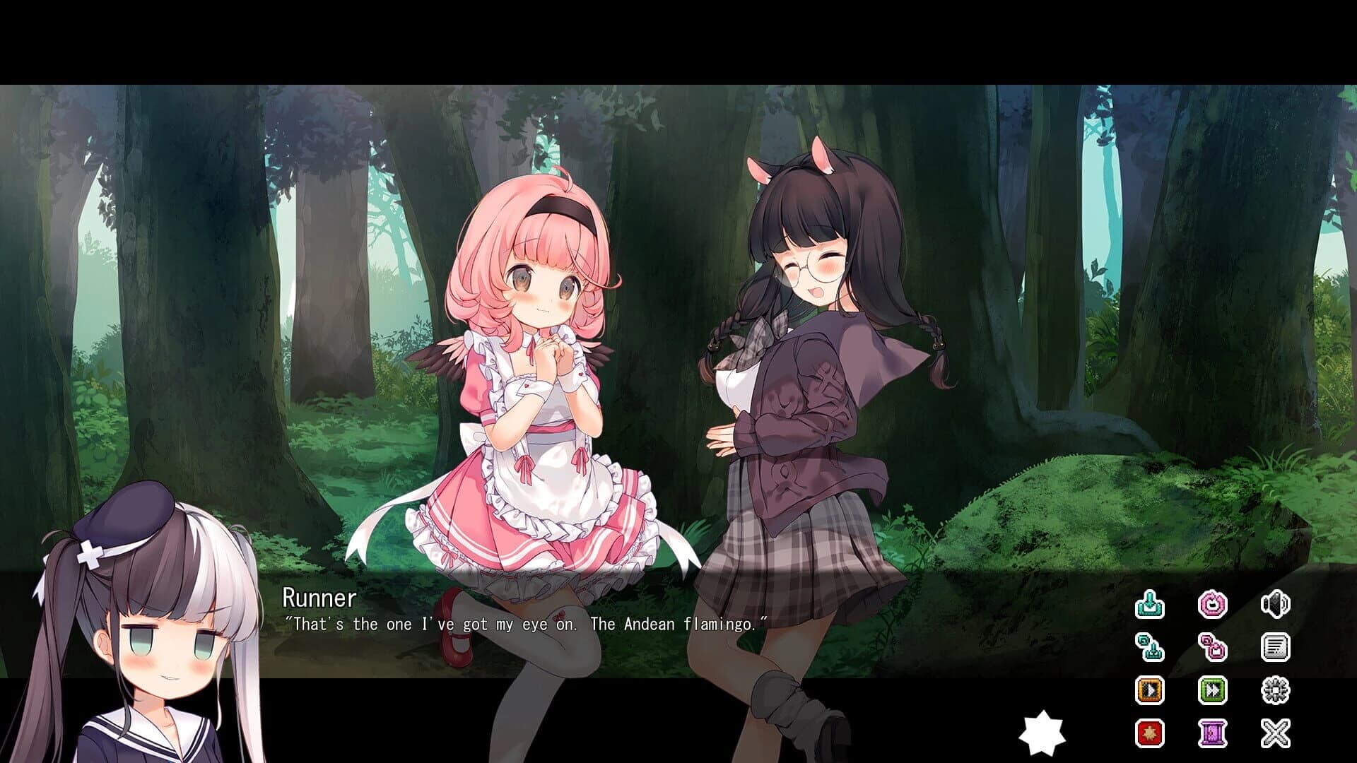 Red List Girls: Andean Flamingo screenshot 3