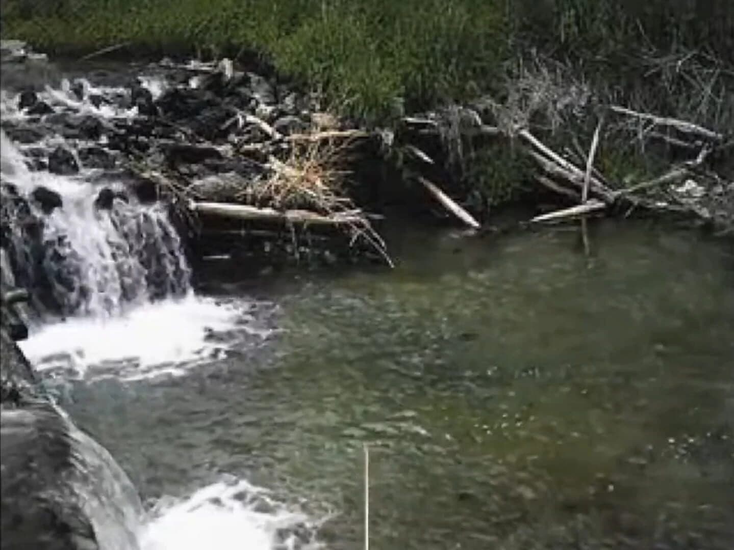 Reel Fishing screenshot 2