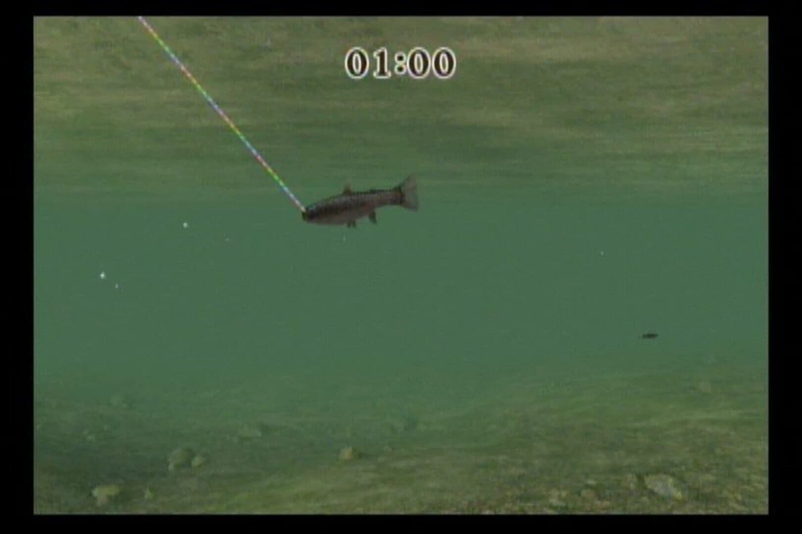 Reel Fishing Challenge screenshot 2