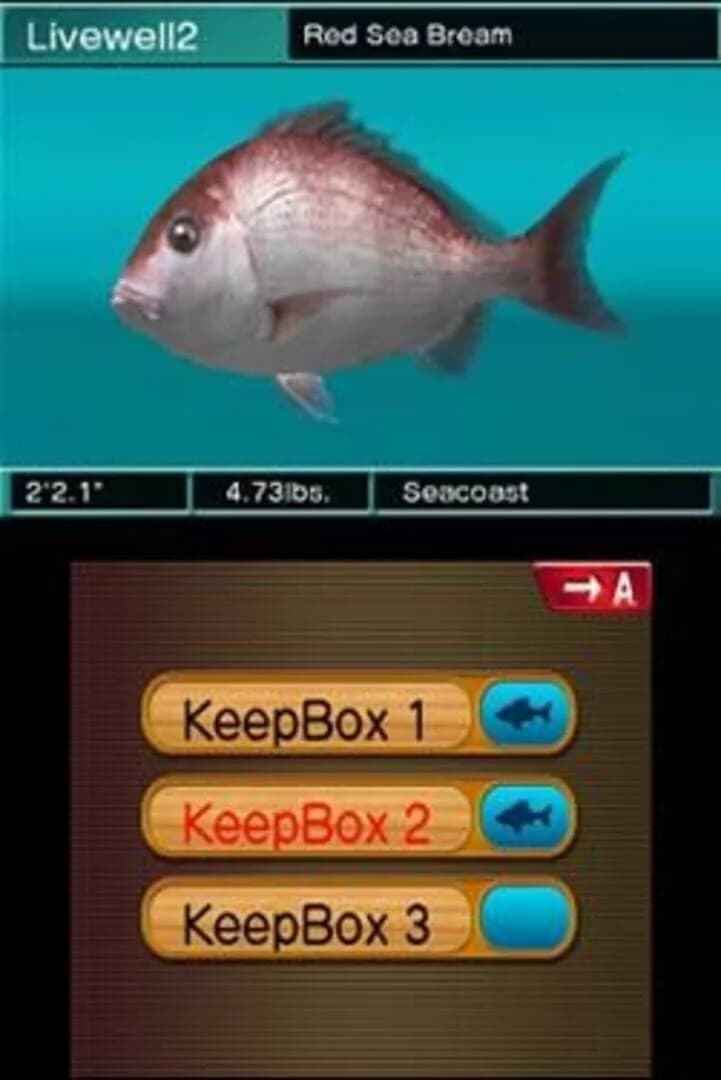 Reel Fishing Paradise 3D screenshot 4