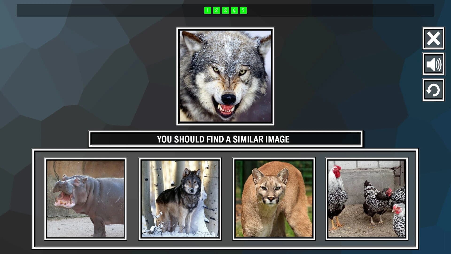 Repeat the image: Animals screenshot 2