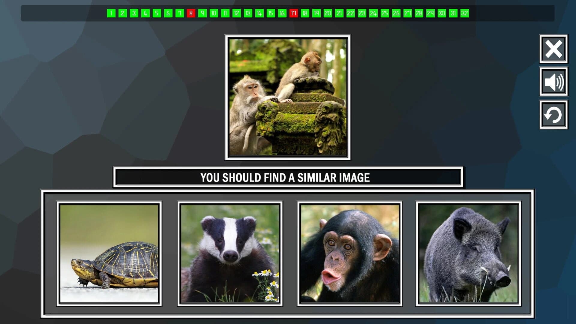 Repeat the image: Animals screenshot 4