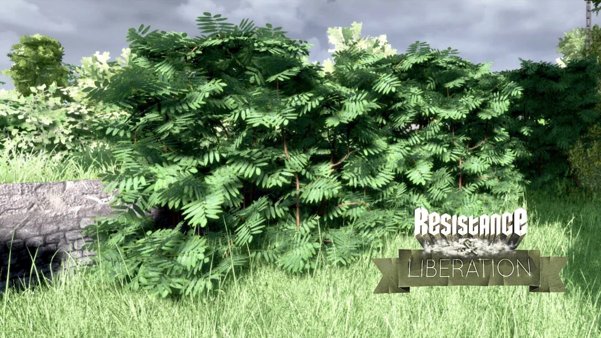 Resistance and Liberation screenshot 3