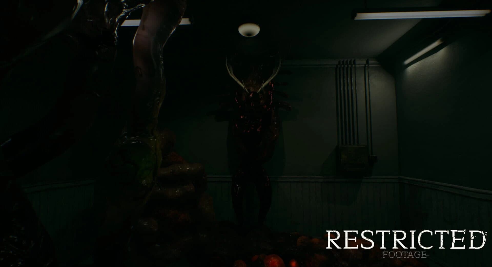 Restricted Footage screenshot 3