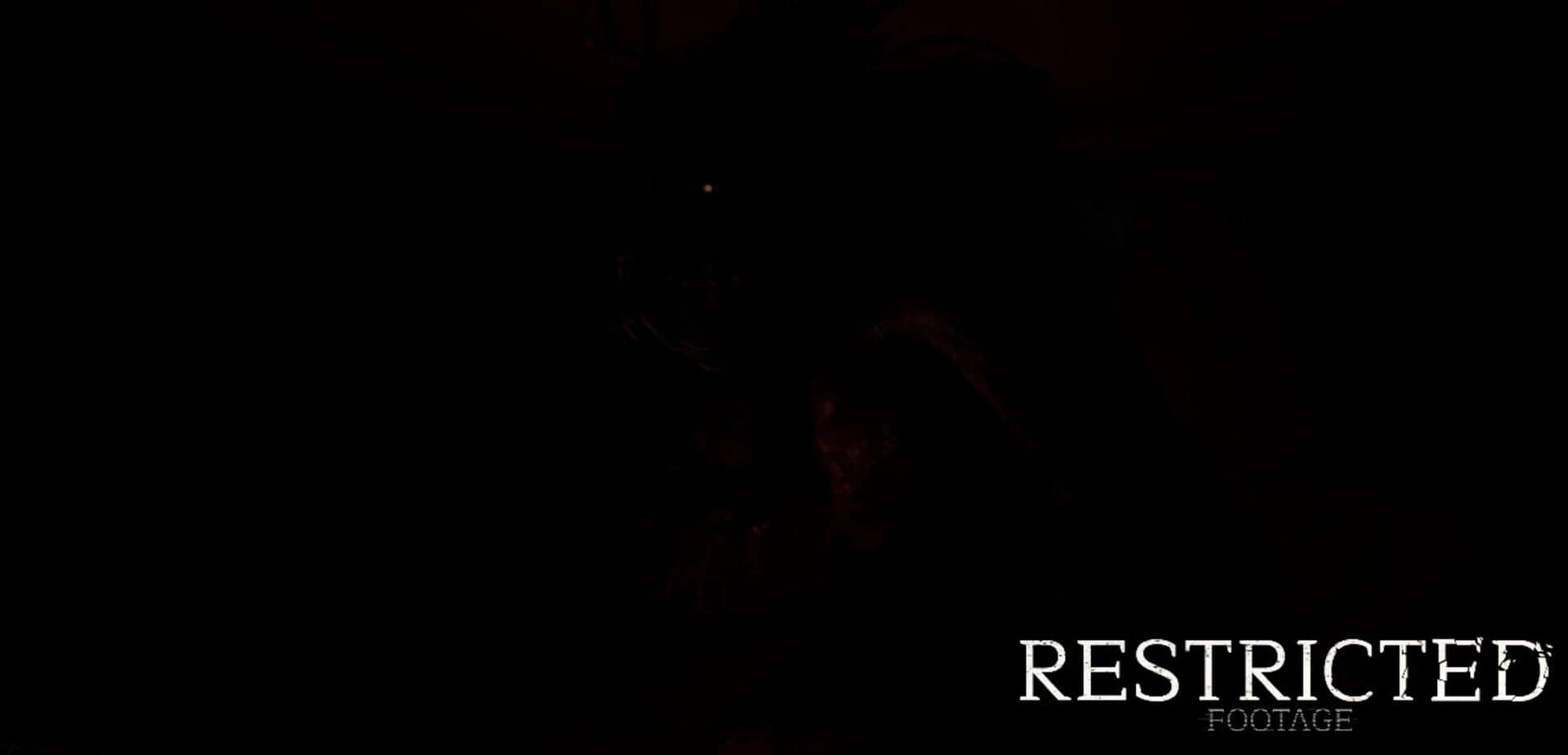 Restricted Footage screenshot 5