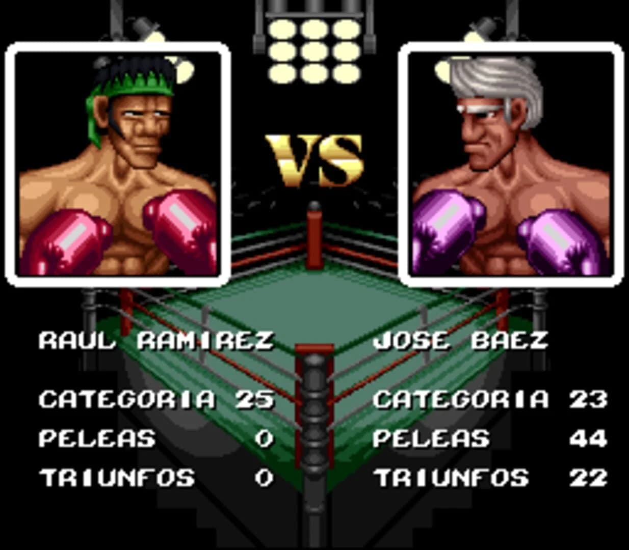 Riddick Bowe Boxing screenshot 1
