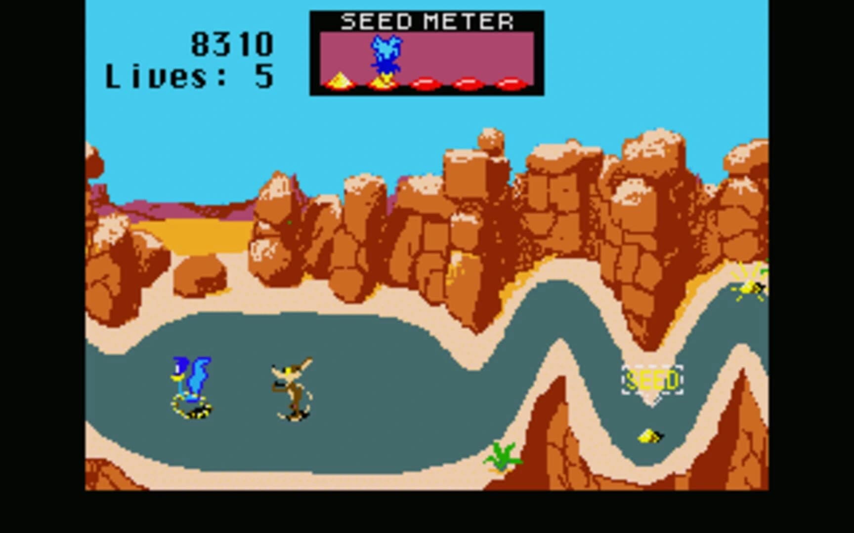 Road Runner screenshot 1