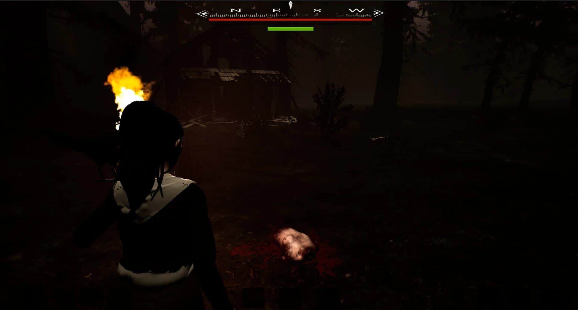 Roanoke screenshot 5