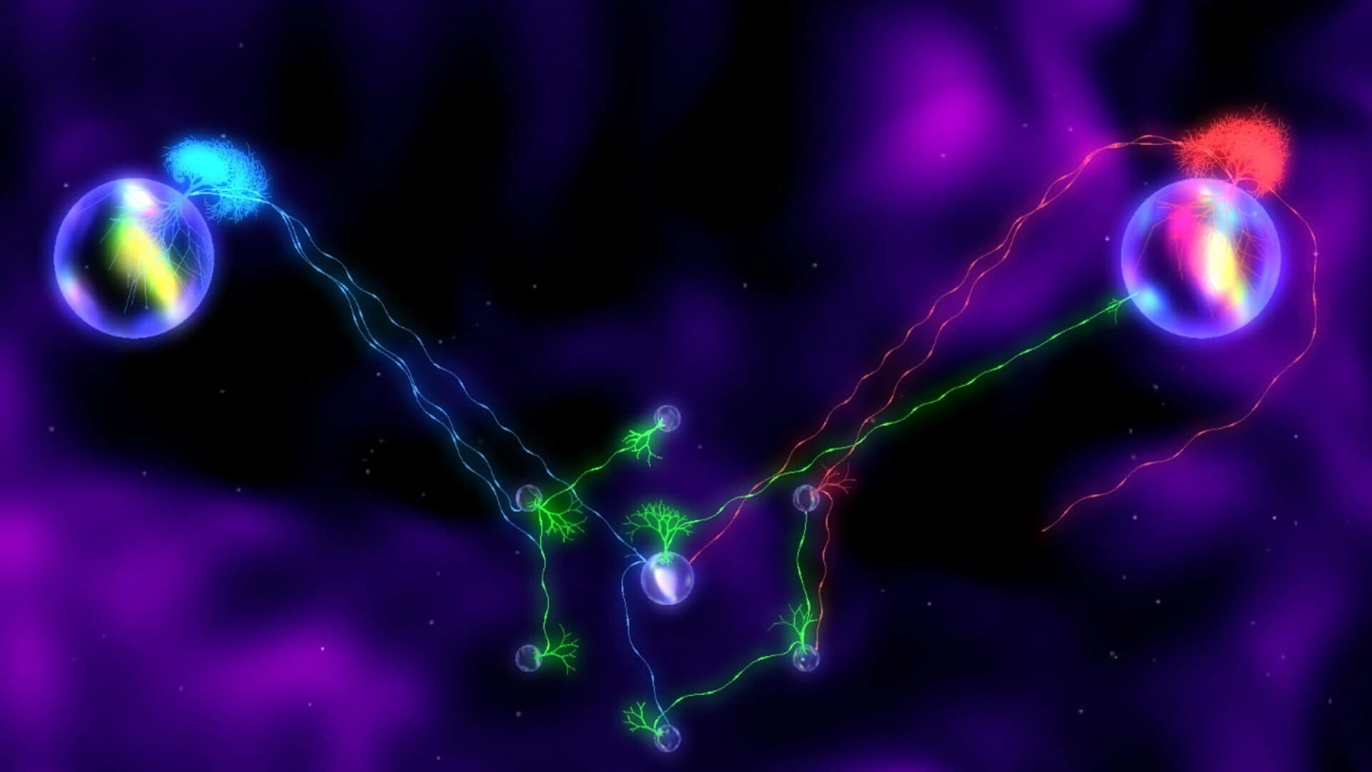 R.O.O.T.S screenshot 1