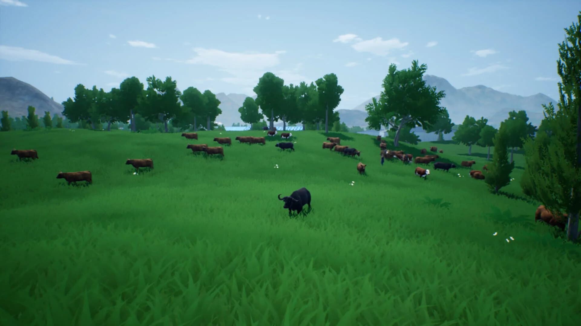 Rou Niu Yang Zhi Ji Hua screenshot 1