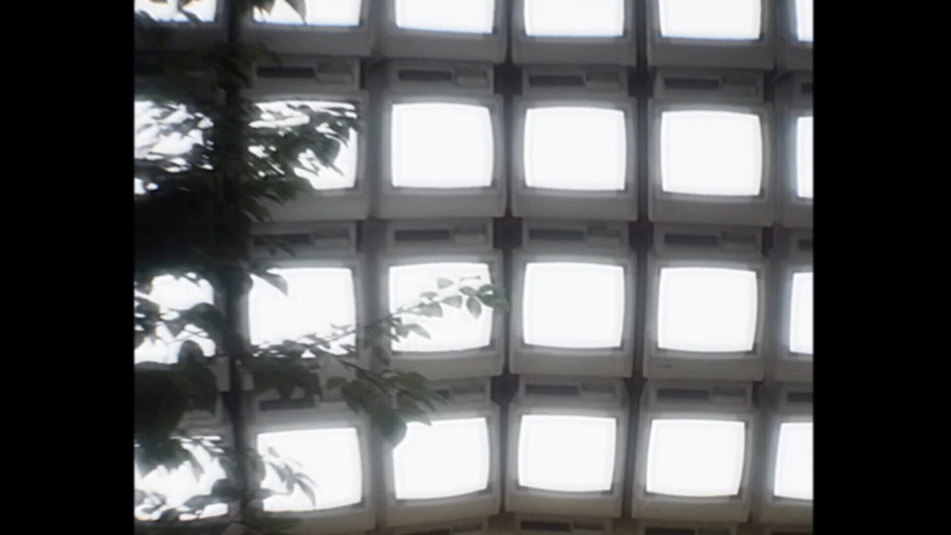 RouteWhom screenshot 5