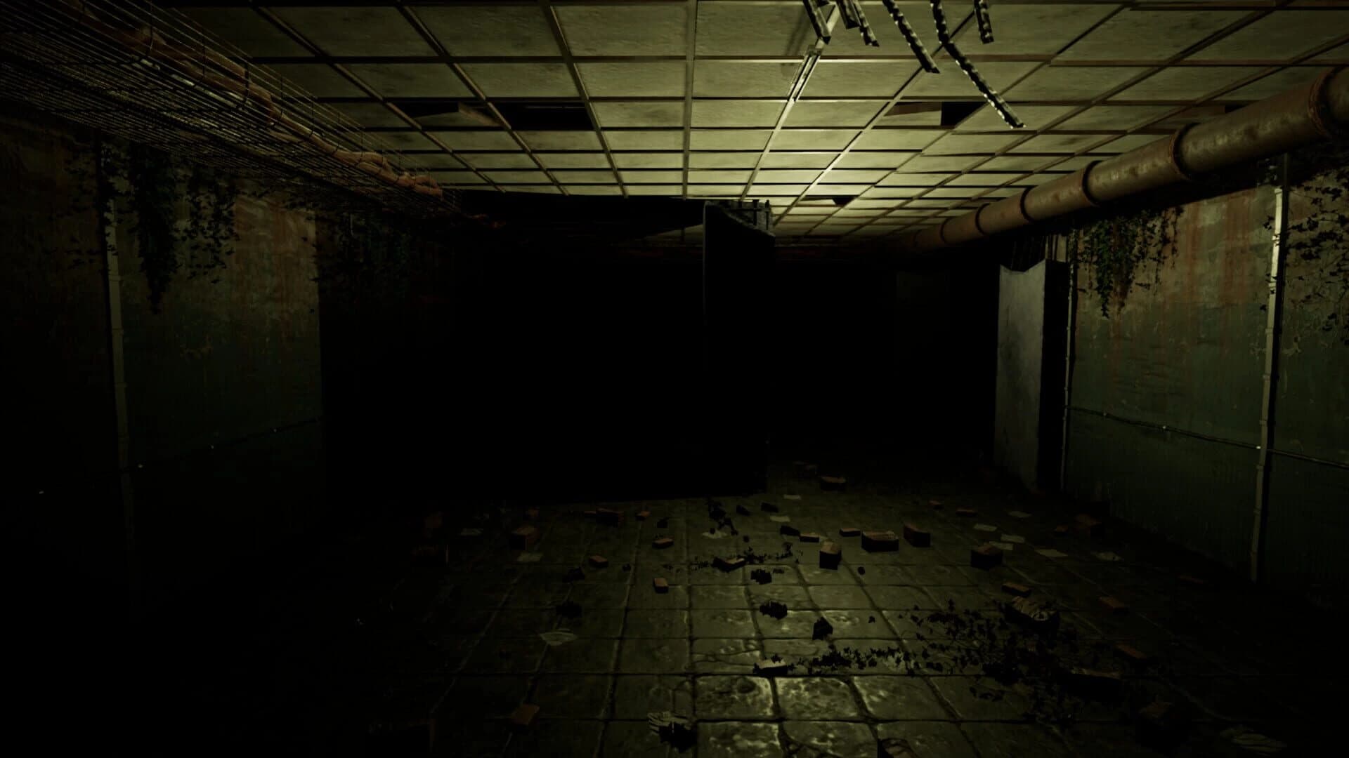Ruins Of Fear screenshot 4