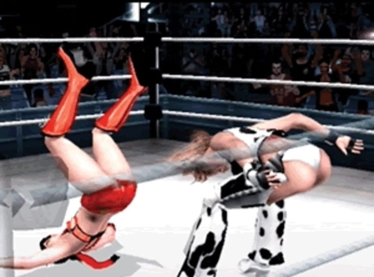 Rumble Roses screenshot 3