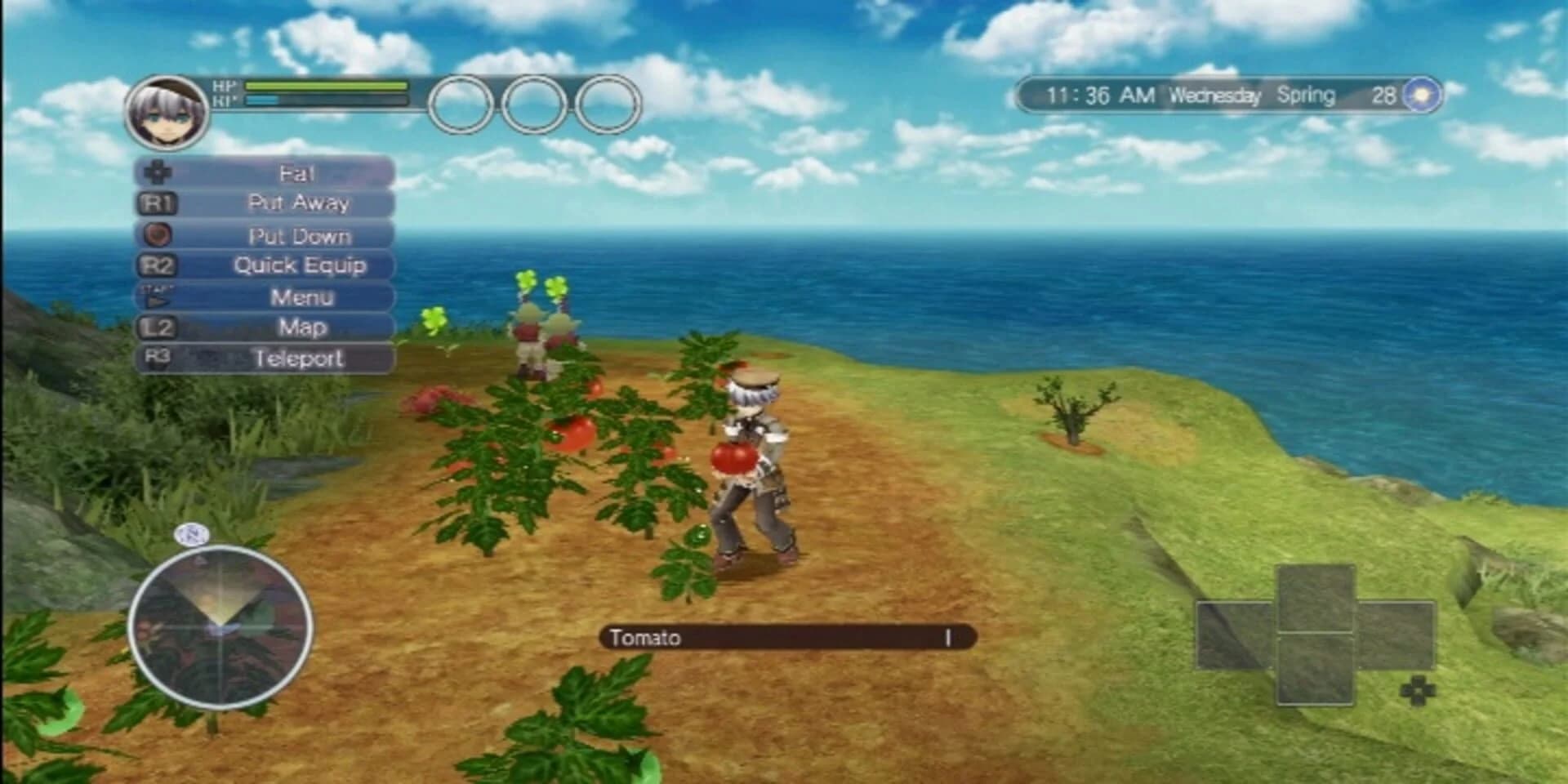 Rune Factory: Tides of Destiny screenshot 2