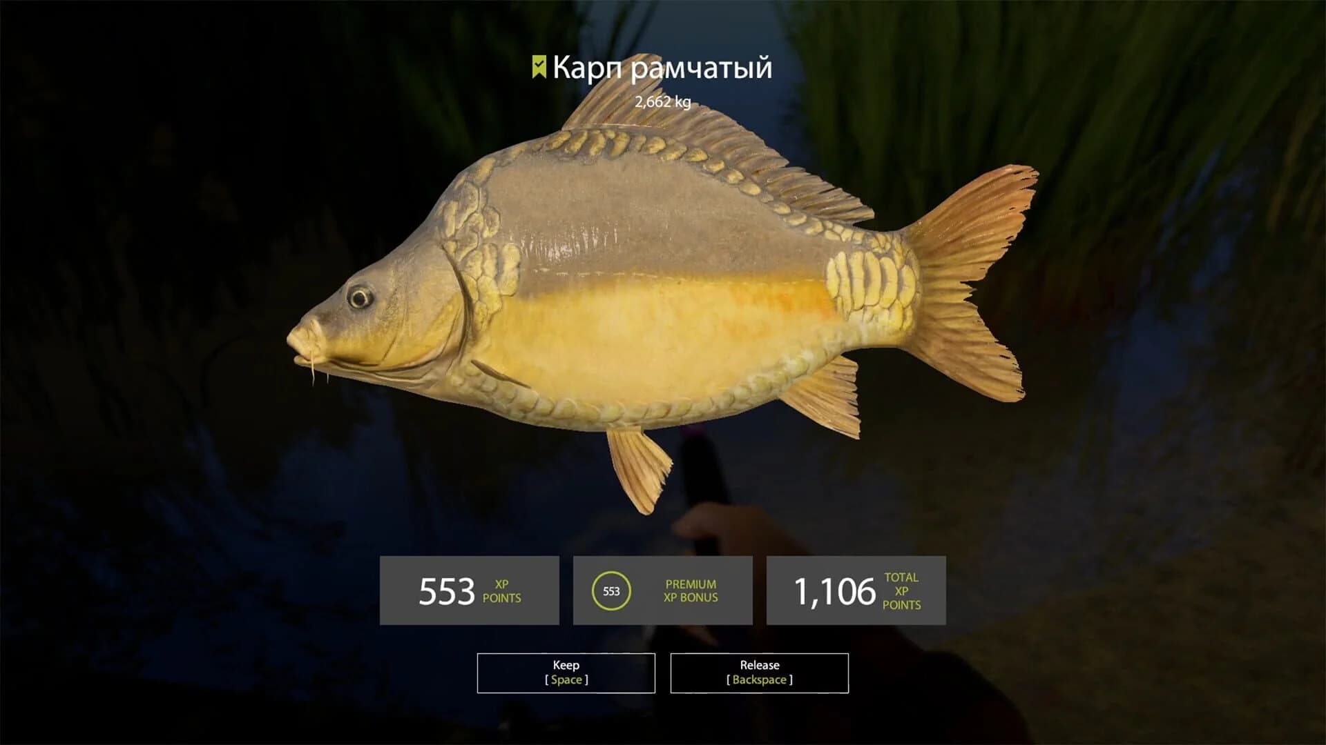 Russian Fishing 4: Amber Lake screenshot 5