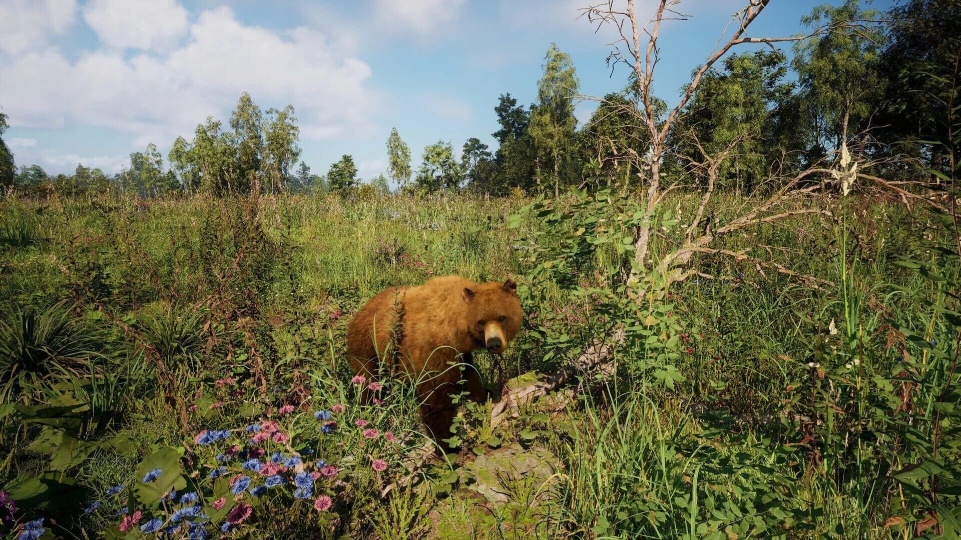 Russian Soul Simulator screenshot 5