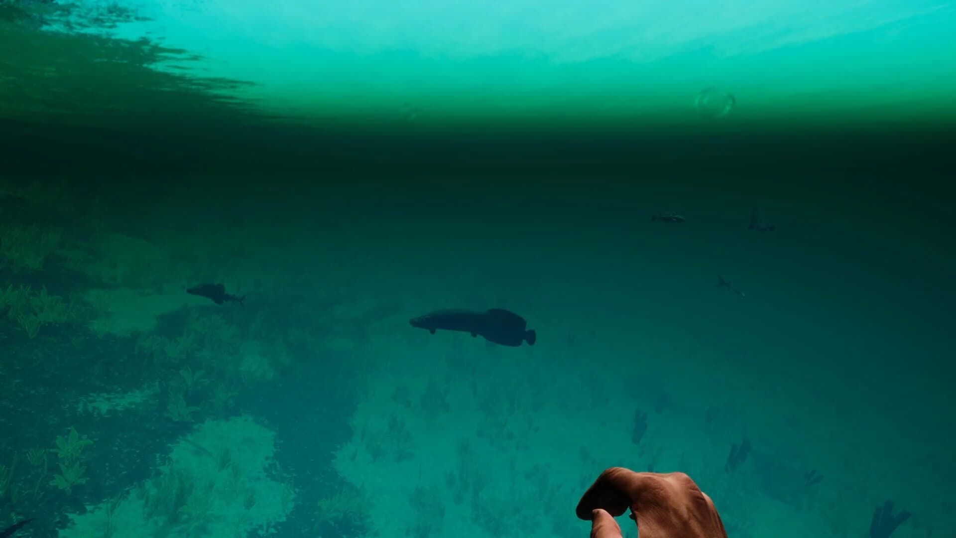 Rygrad screenshot 5