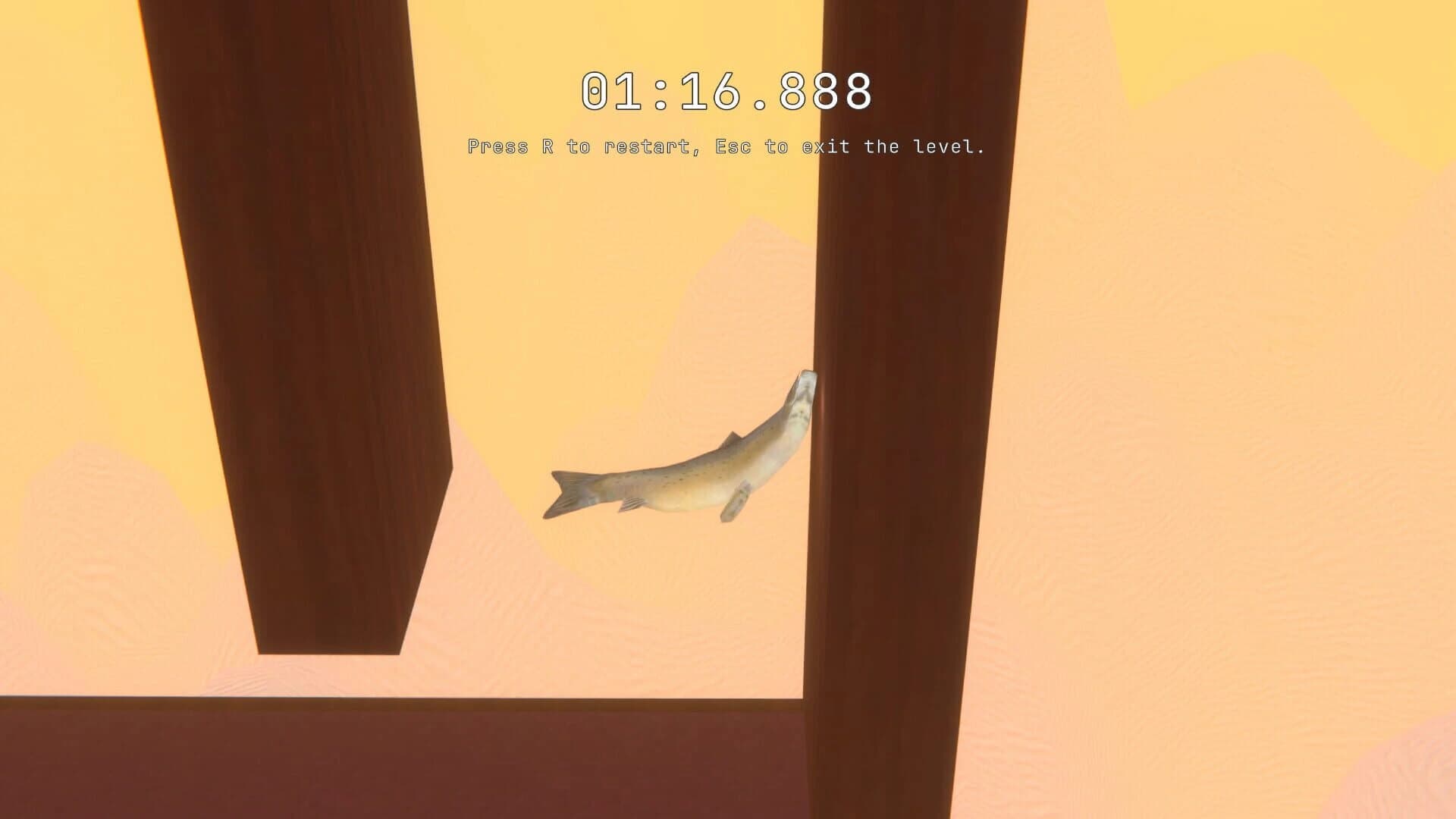 Salmon screenshot 1