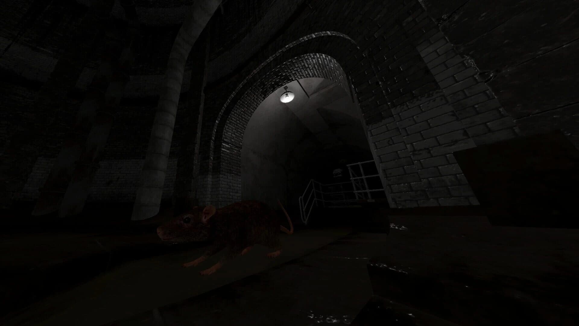 Scamper screenshot 1