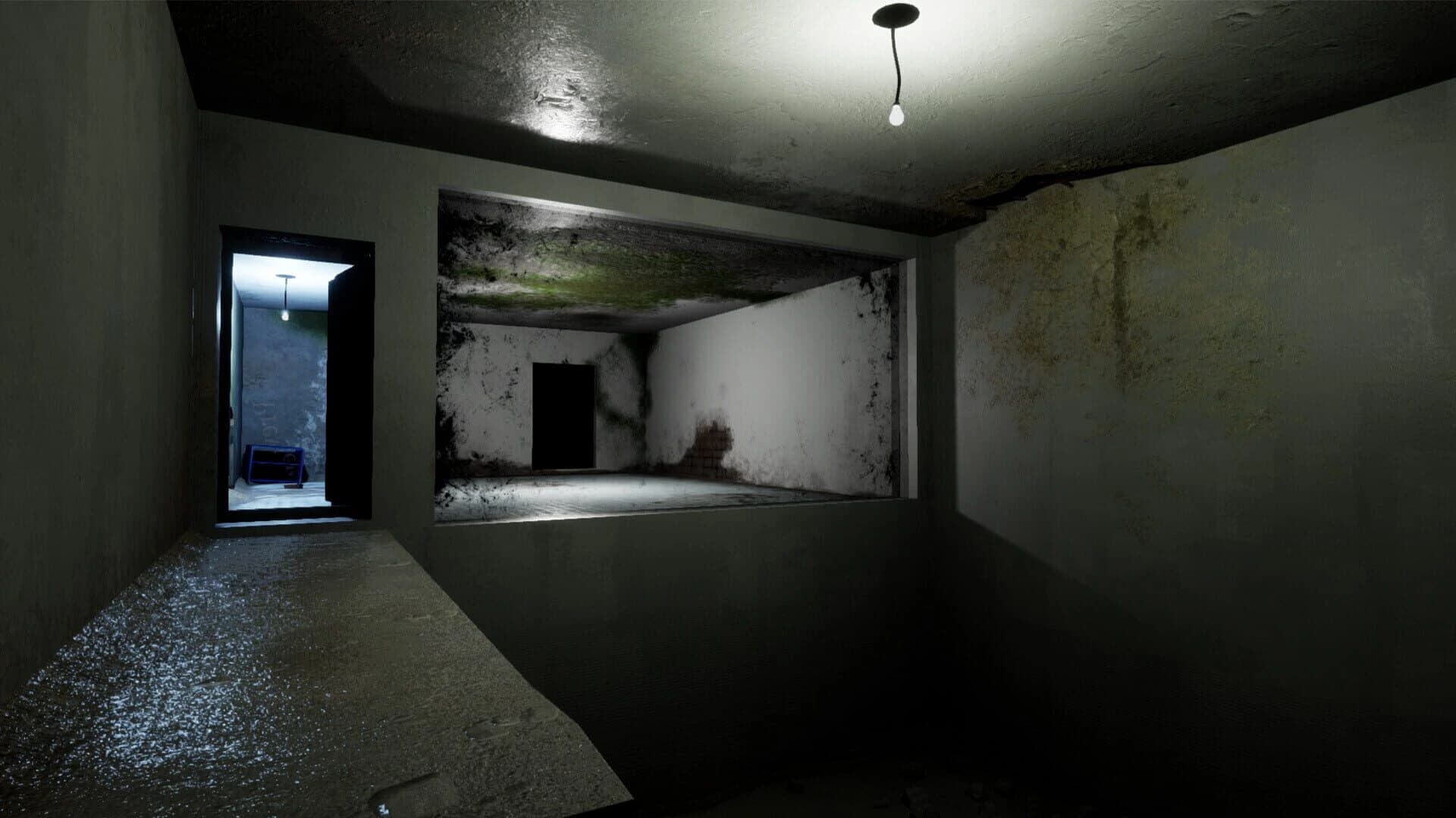 Schizophrenia: R.E.M. Protocol screenshot 1